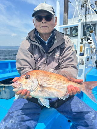 マダイ