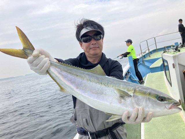 ワラサ(ブリ)