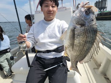 クロダイ