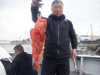 オニカサゴ