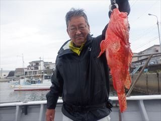 オニカサゴ