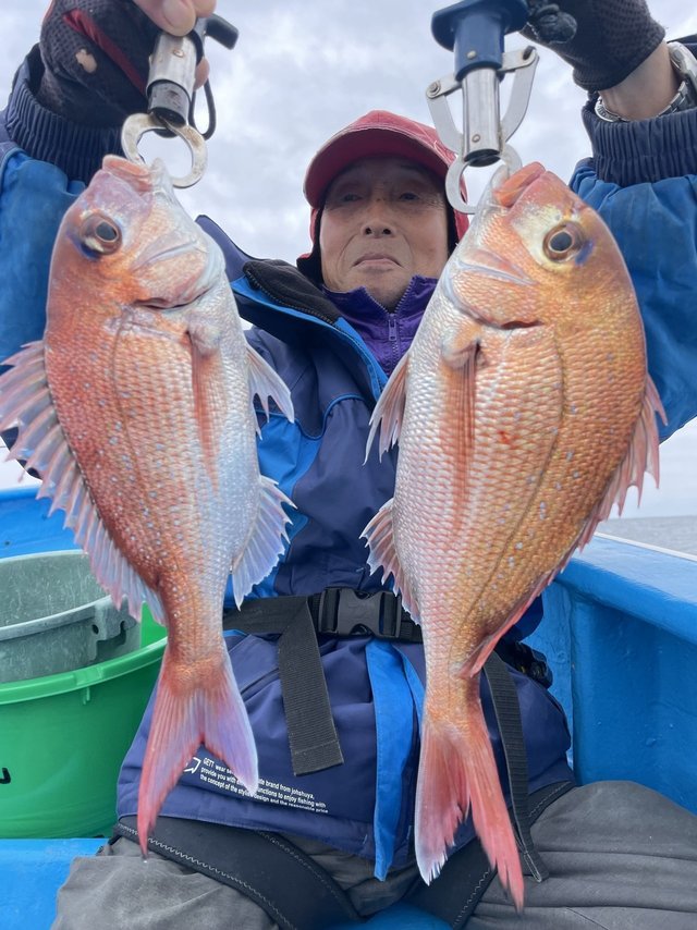 マダイ
