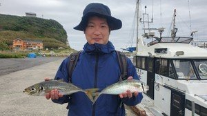 アジ(マアジ)