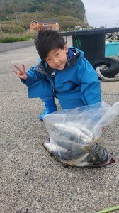 アジ(マアジ)
