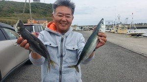 アジ(マアジ)