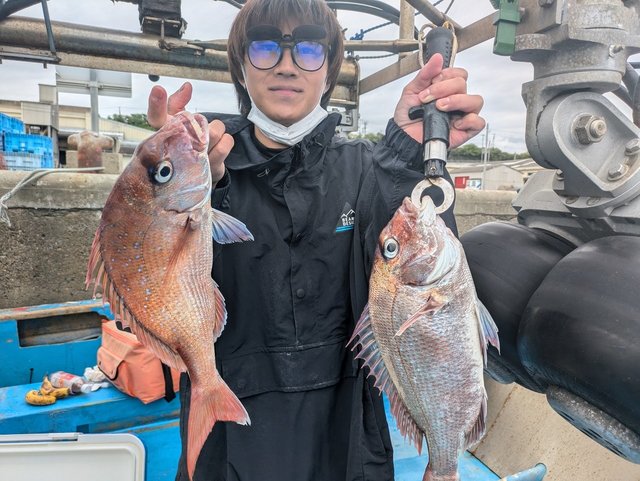マダイ