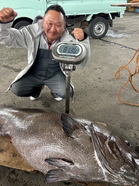 イシナギ(オオクチイシナギ)