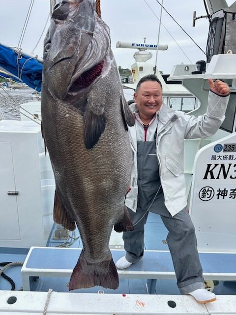 イシナギ(オオクチイシナギ)