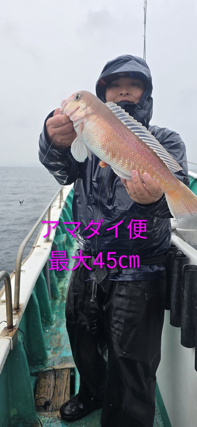 シロアマダイ