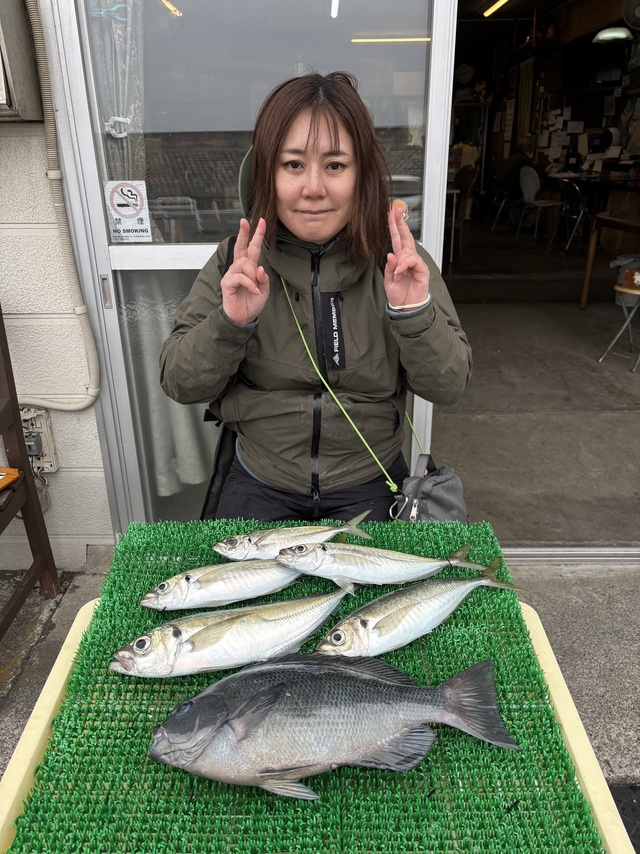 メジナ・アジ(マアジ)