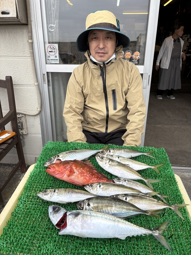 アジ(マアジ)