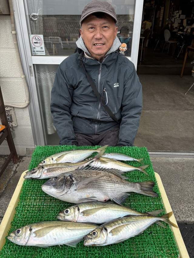 クロダイ・アジ(マアジ)