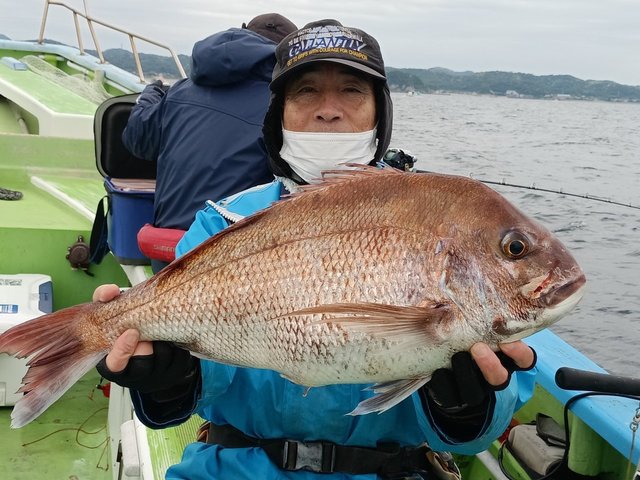 マダイ