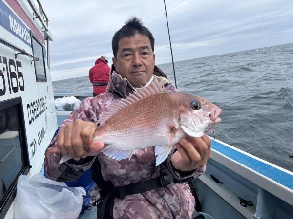 マダイ
