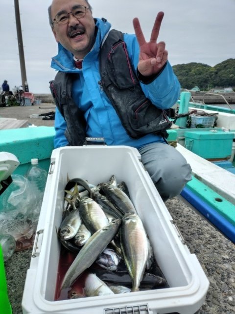 アジ(マアジ)