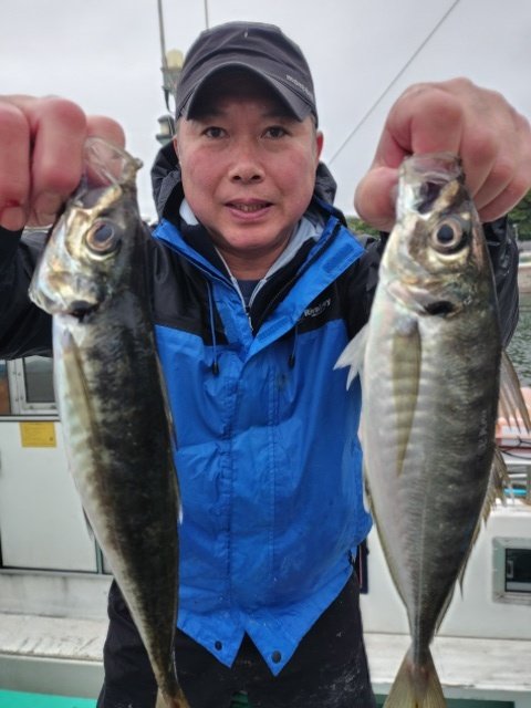 アジ(マアジ)