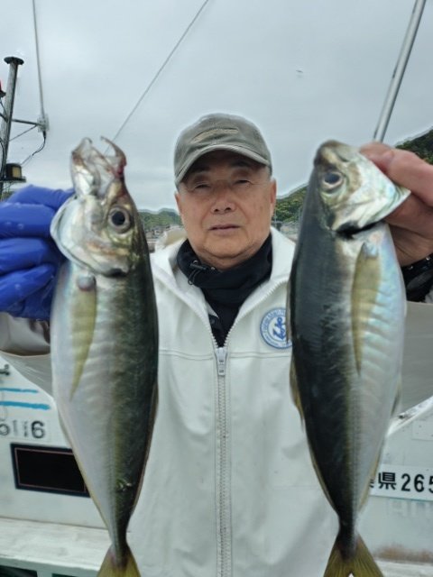 アジ(マアジ)