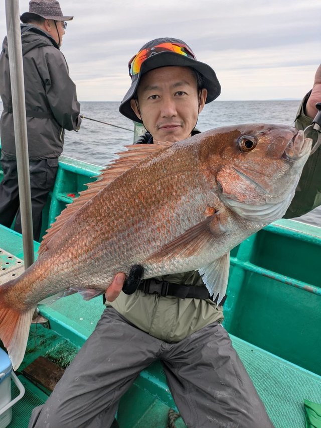 マダイ