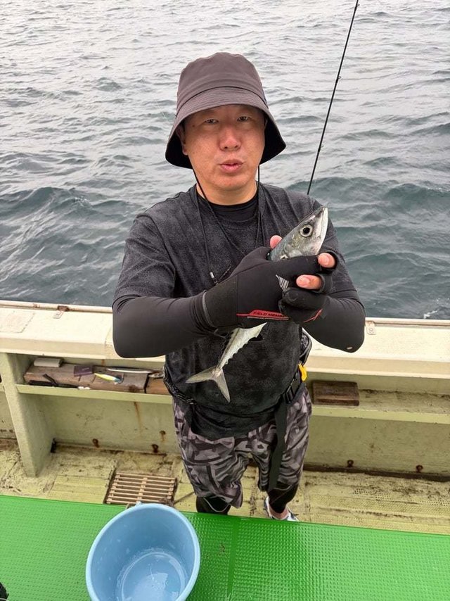 サバ(ゴマサバ)