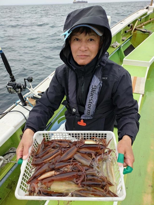 スルメイカ