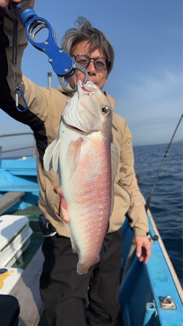 シロアマダイ