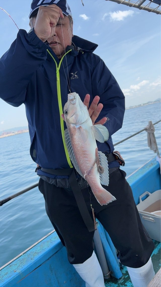 シロアマダイ