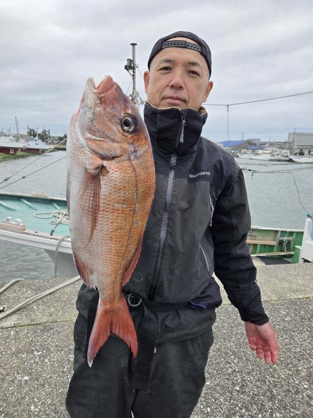 マダイ