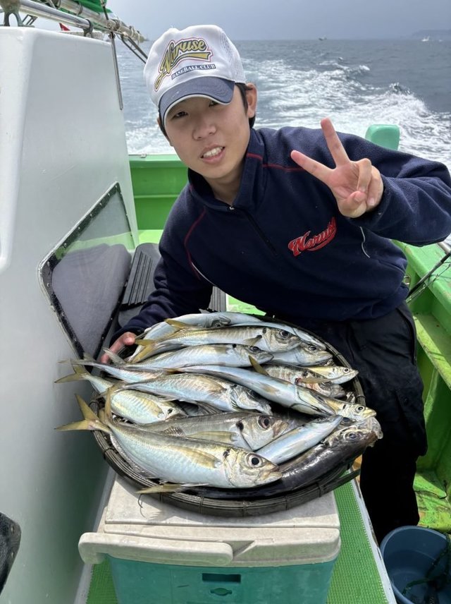 アジ(マアジ)