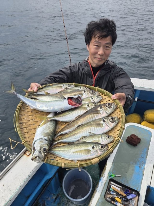 アジ(マアジ)