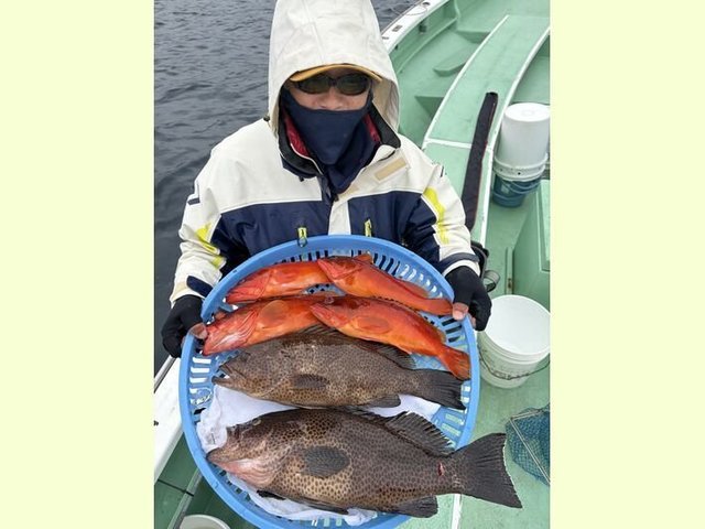 アカハタ・オオモンハタ