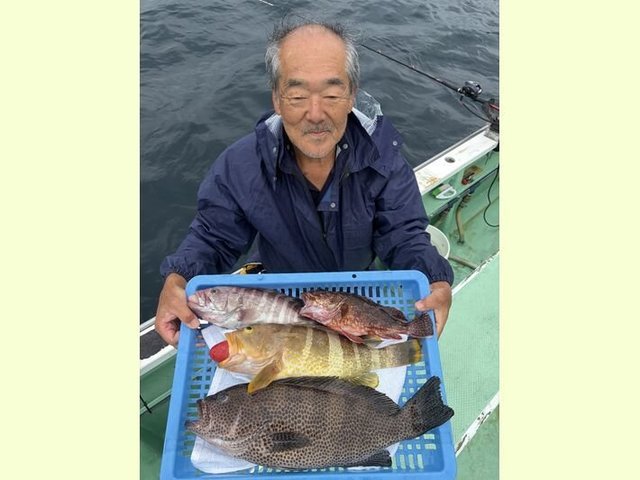 マハタ・アオハタ・オオモンハタ