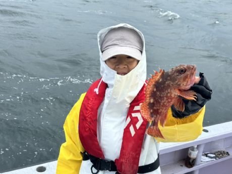 カサゴ