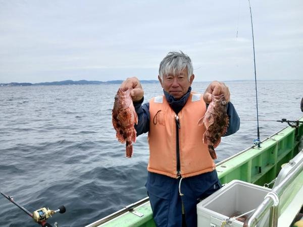 カサゴ