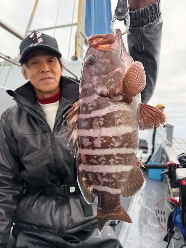 マハタ