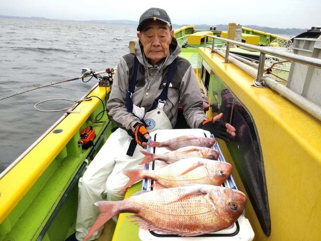 マダイ