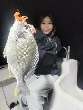 クロダイ