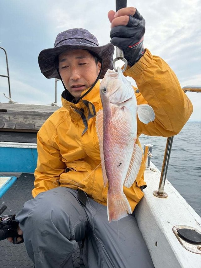 シロアマダイ