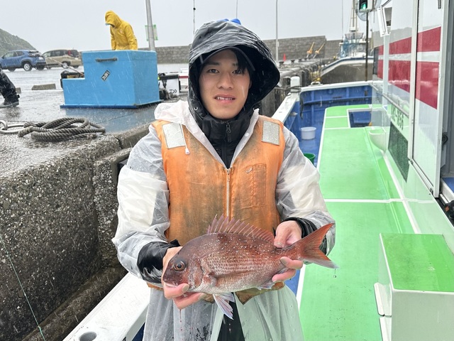マダイ