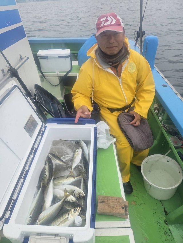 アジ(マアジ)