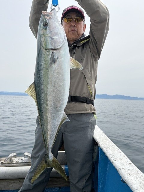 ブリ