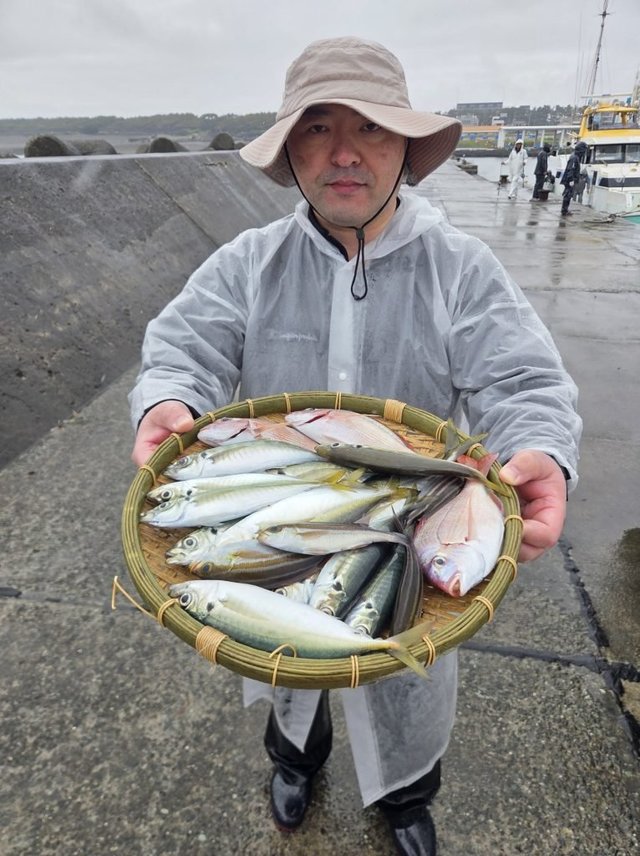 マダイ・アジ(マアジ)