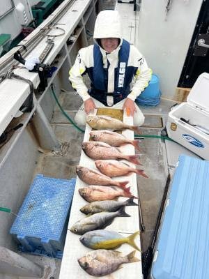 マダイ・ウメイロ・イサキ・サバ(ゴマサバ)