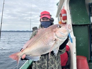 マダイ