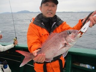 マダイ