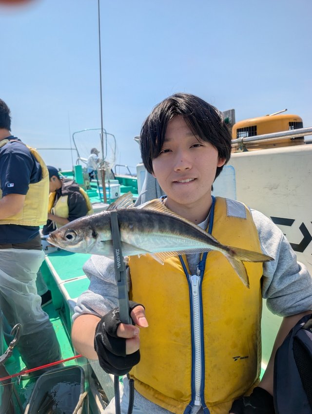 アジ(マアジ)