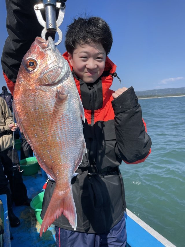 マダイ