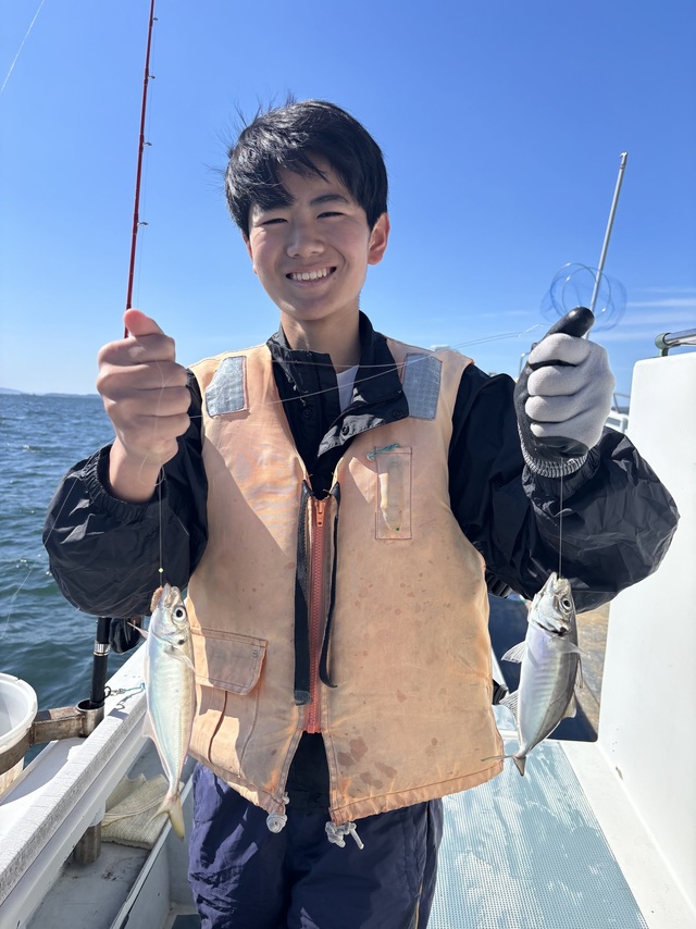 アジ(マアジ)