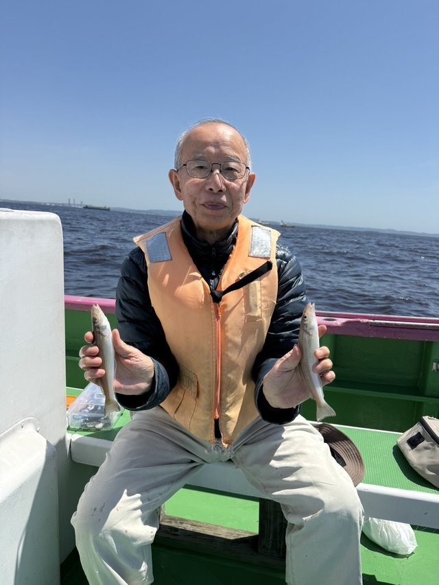 シロギス
