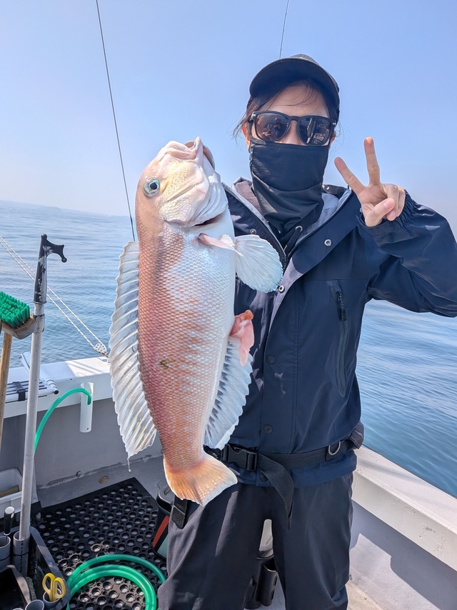 シロアマダイ
