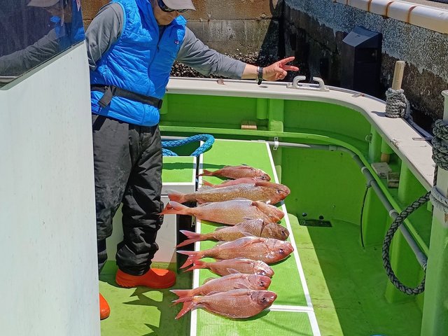 マダイ